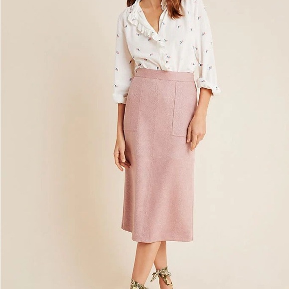 Anthropologie Dresses & Skirts - Anthropologie Blush Midi Skirt